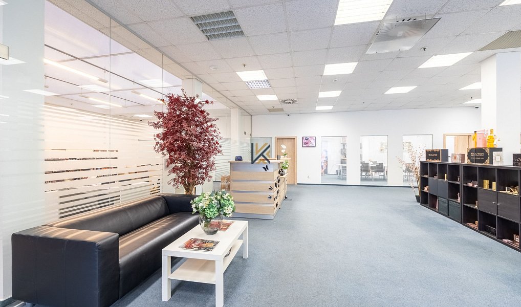 Pronájem kanceláře 1 030 m², Praha – náhled fotky 5