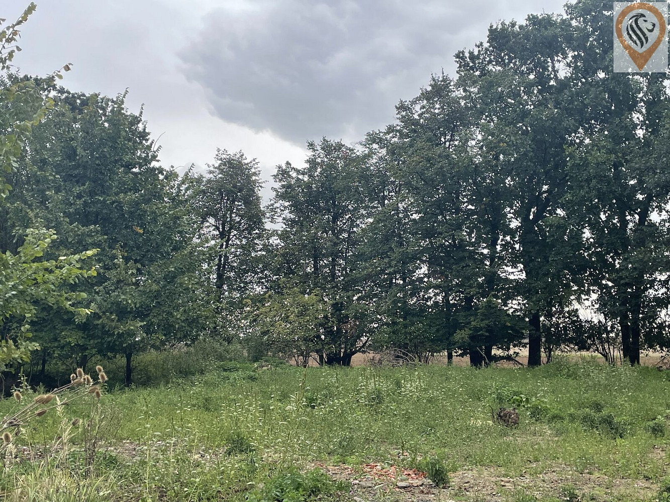 Prodej pole 51 051 m²