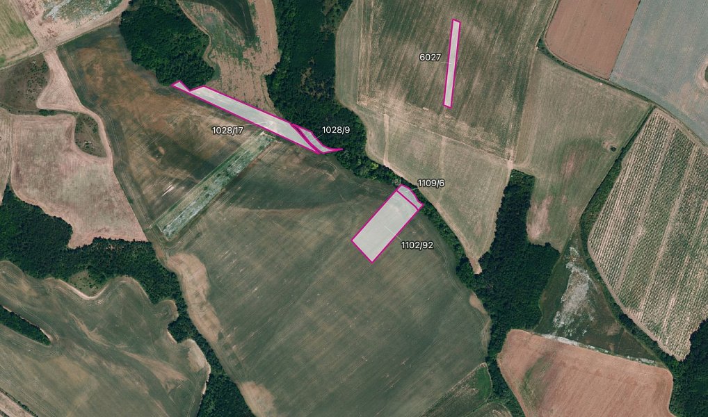 Prodej pole 6 896 m², Džbánice – fotka 1 z 3