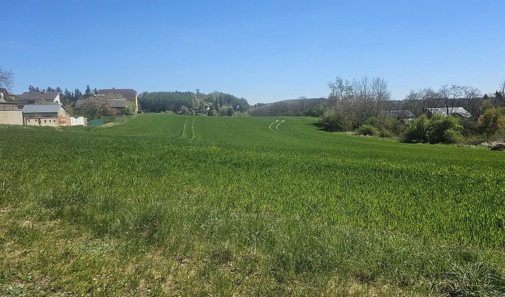 Prodej stavebního pozemku 12 266 m², Nové Strašecí – náhled fotky 3