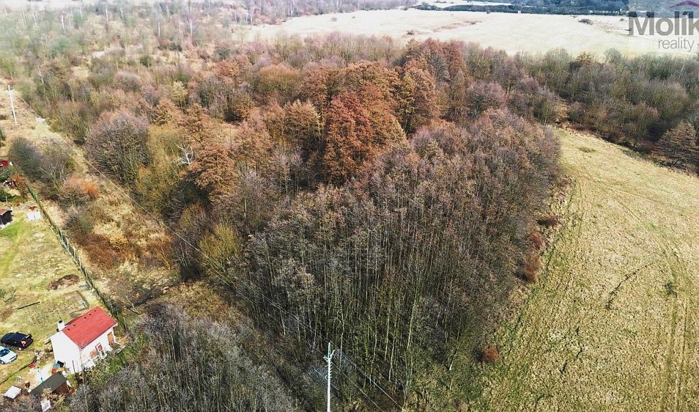 Prodej pole 25 190 m², Ústí nad Labem – náhled fotky 4