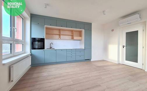 Pronájem bytu 2+kk 62 m², U Borských kasáren, Plzeň - Jižní Předměstí