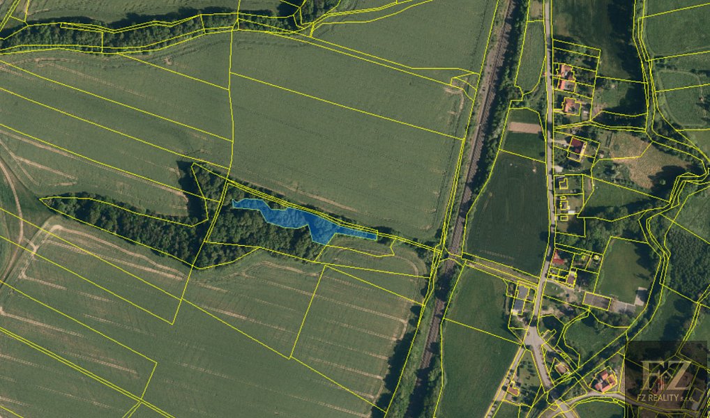 Prodej lesa 4 137 m², Jeseník nad Odrou – náhled fotky 2