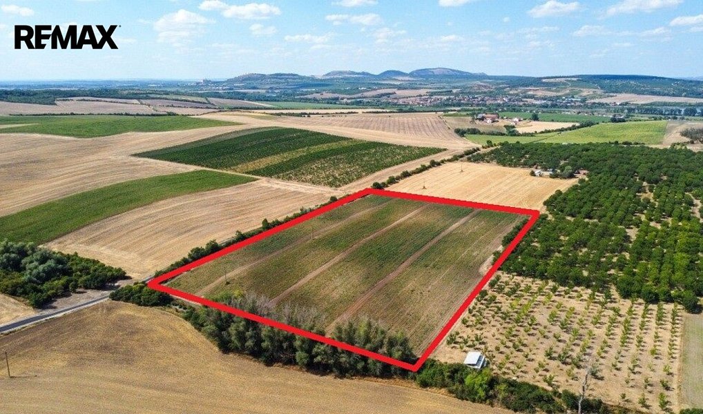 Prodej pozemku 39 611 m², Valtice – fotka 1 z 13