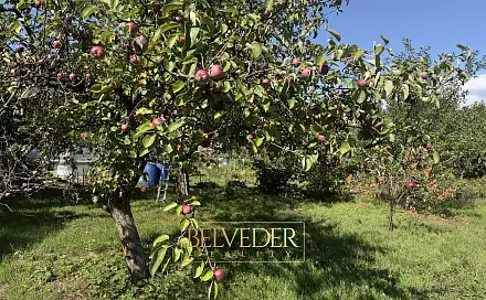 Prodej zahrady 312 m², B. Němcové, Dubí, okres Teplice