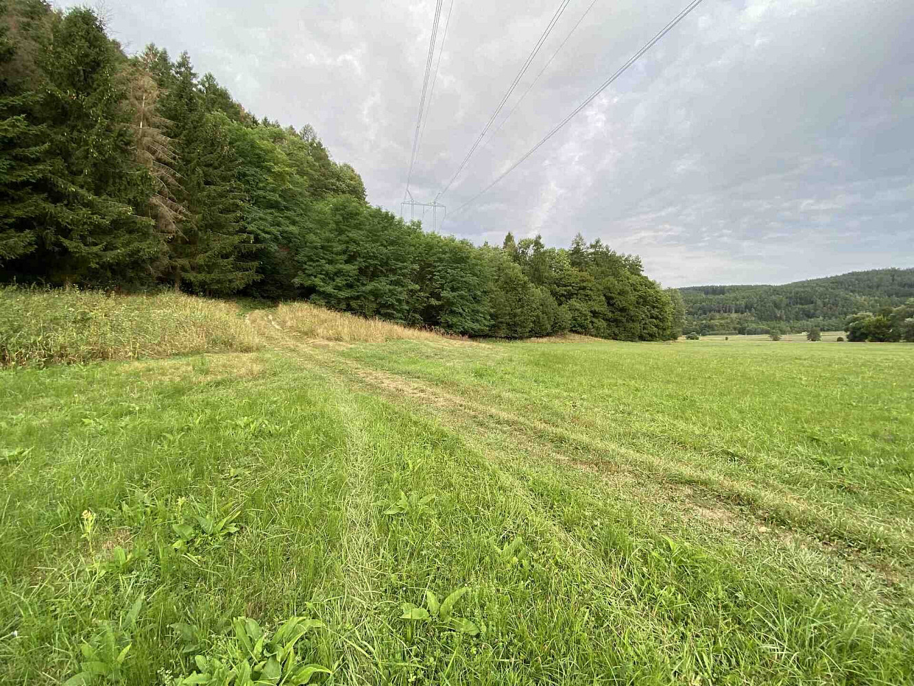 Prodej pole 2 289 m² – fotografie 3