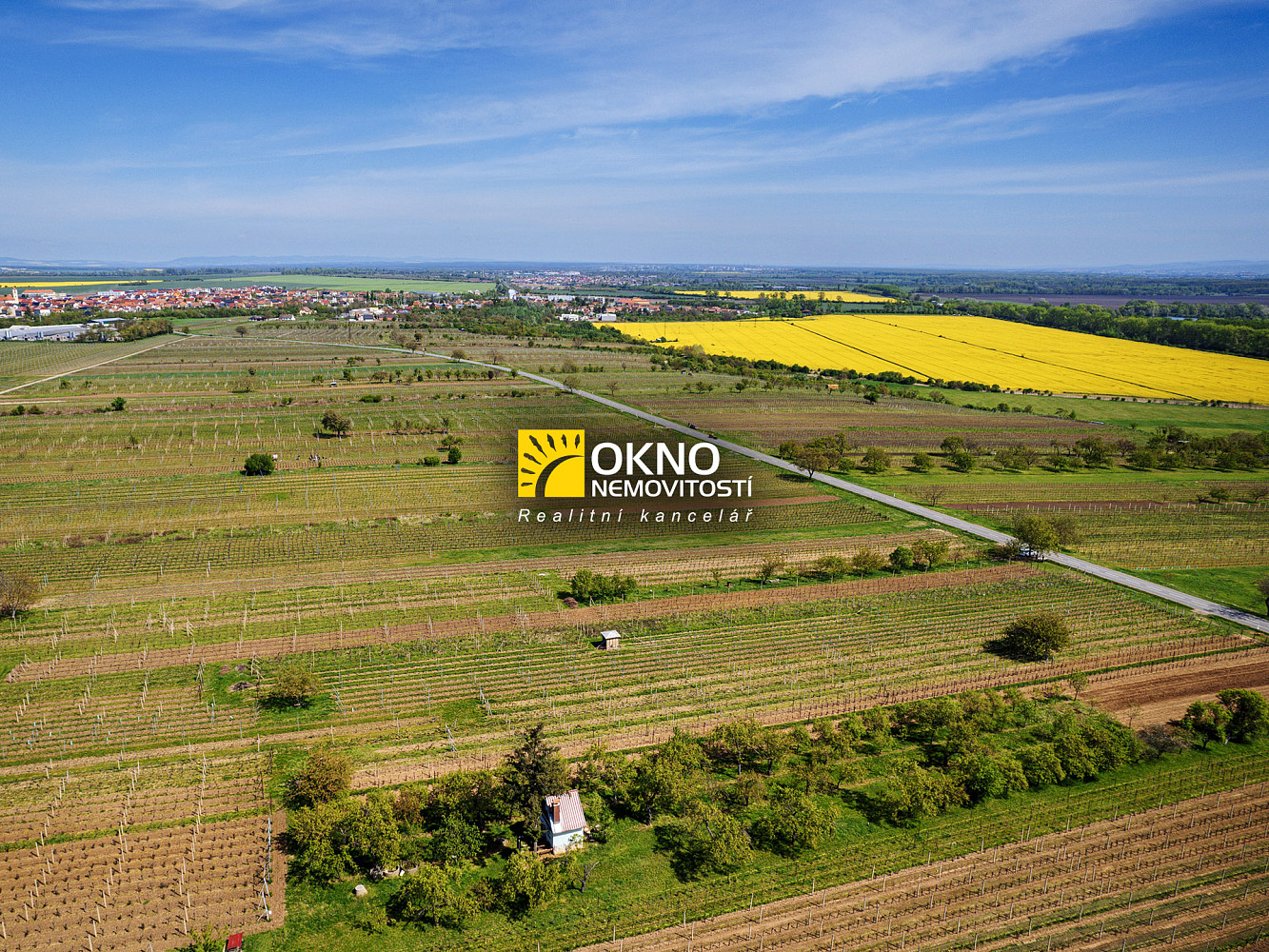 Rovinný pozemek - vinice – další