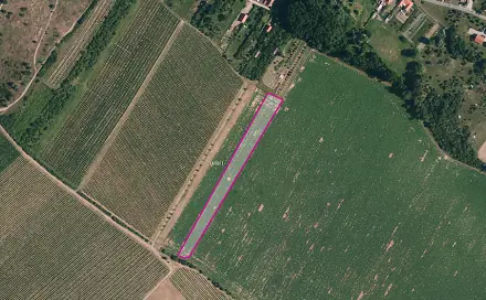 Prodej pole 7 141 m², Znojmo - Popice