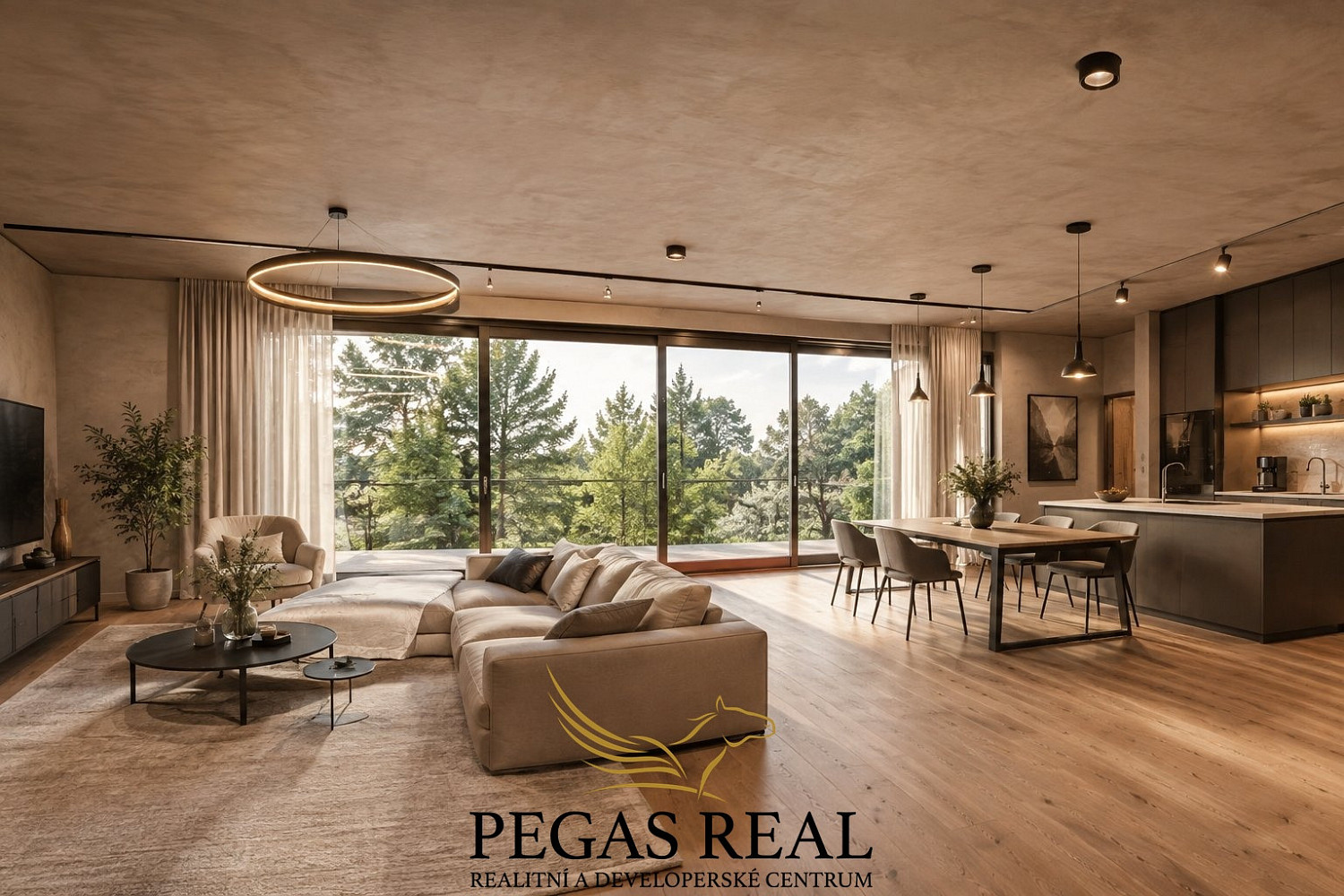 Prodej domu 300 m² s pozemkem 1 451 m²