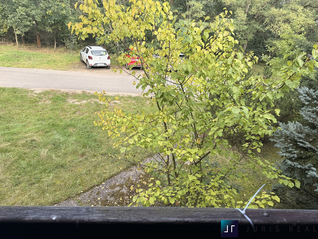 Fotka 21 z 30