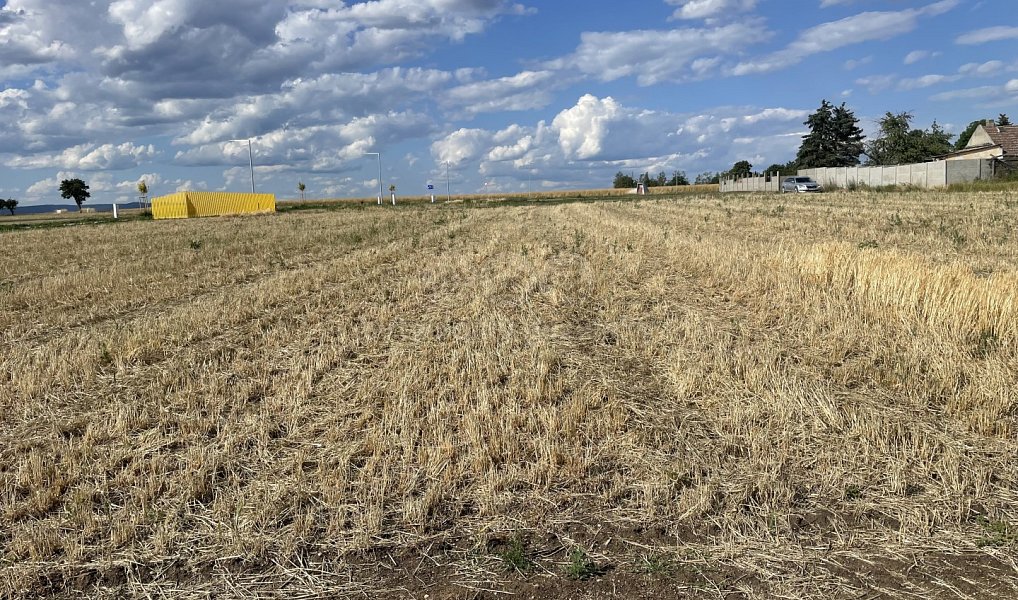 Prodej stavebního pozemku 2 167 m², Hrušovany – náhled fotky 3