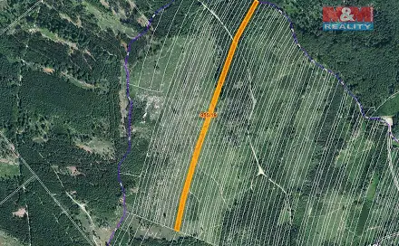 Prodej lesa 10 966 m², Nová Hradečná, okres Olomouc
