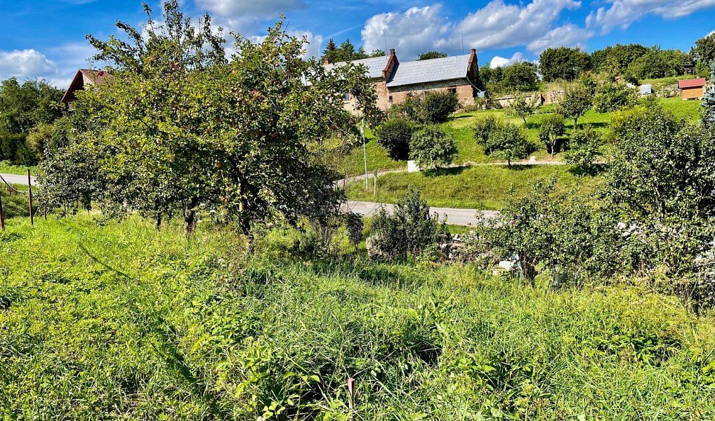 Prodej zahrady 491 m², Petrovice – náhled fotky 5