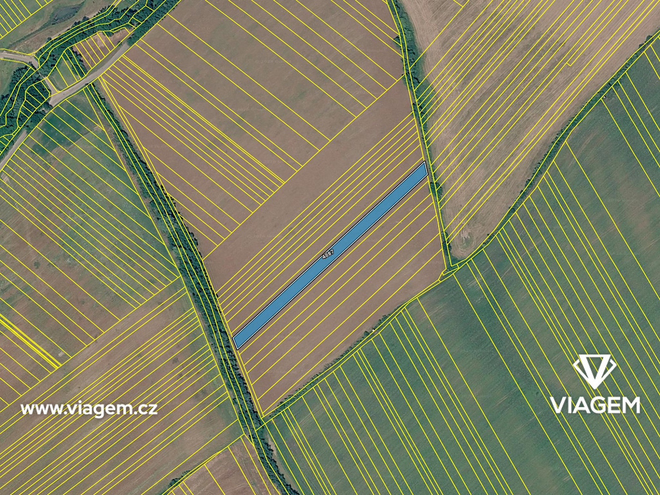 Prodej pole 3 500 m² – fotografie 4
