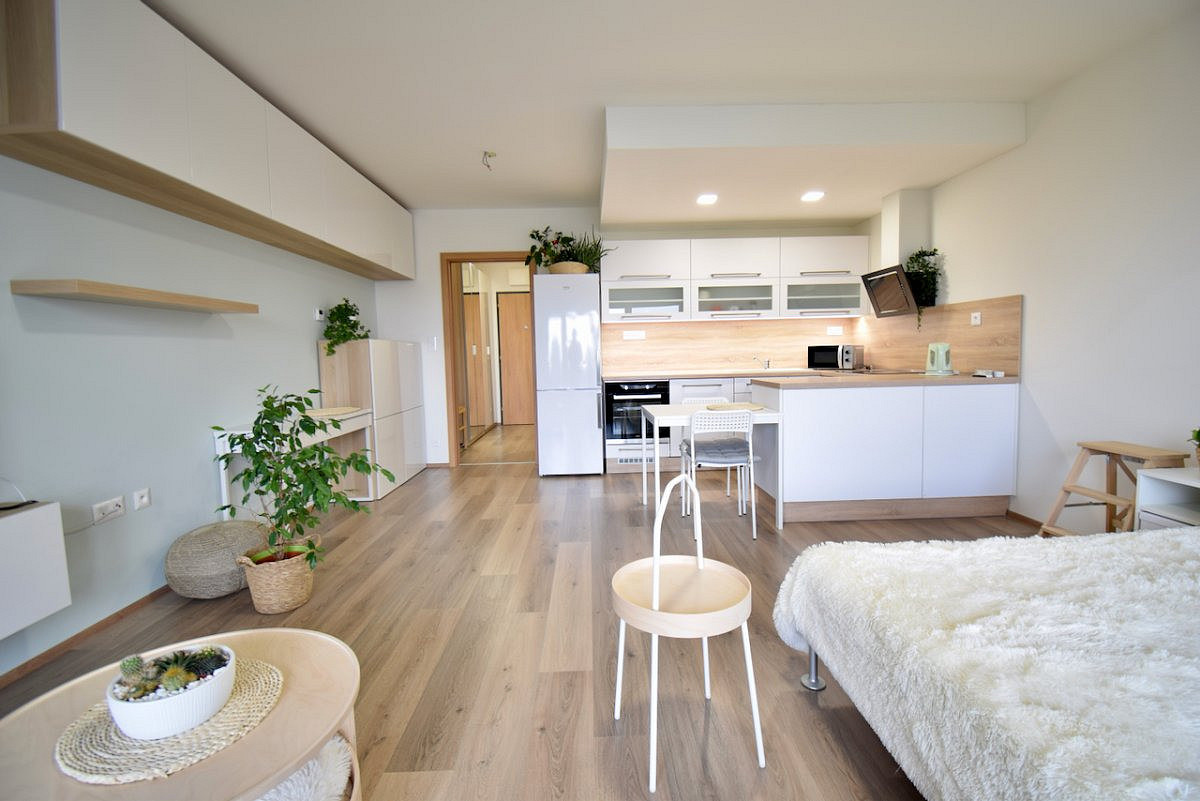 Pronájem bytu 1+kk 41 m²