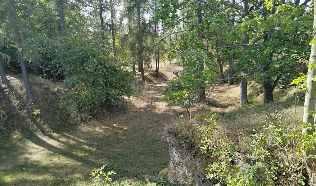 Prodej pozemku 13 529 m², Razová – náhled fotky 5