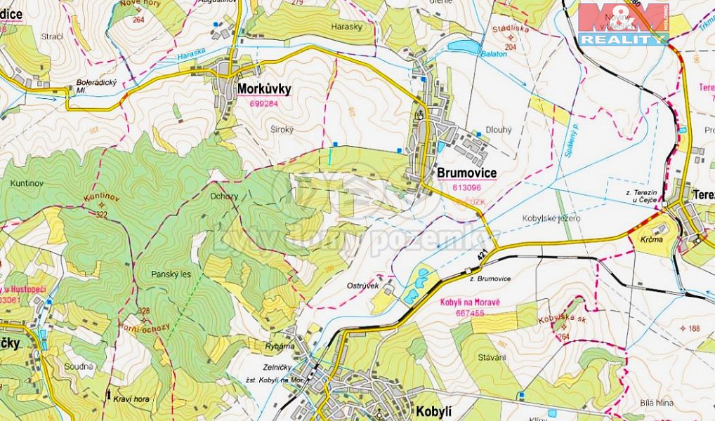 Prodej pole 1 597 m², Brumovice – náhled fotky 3