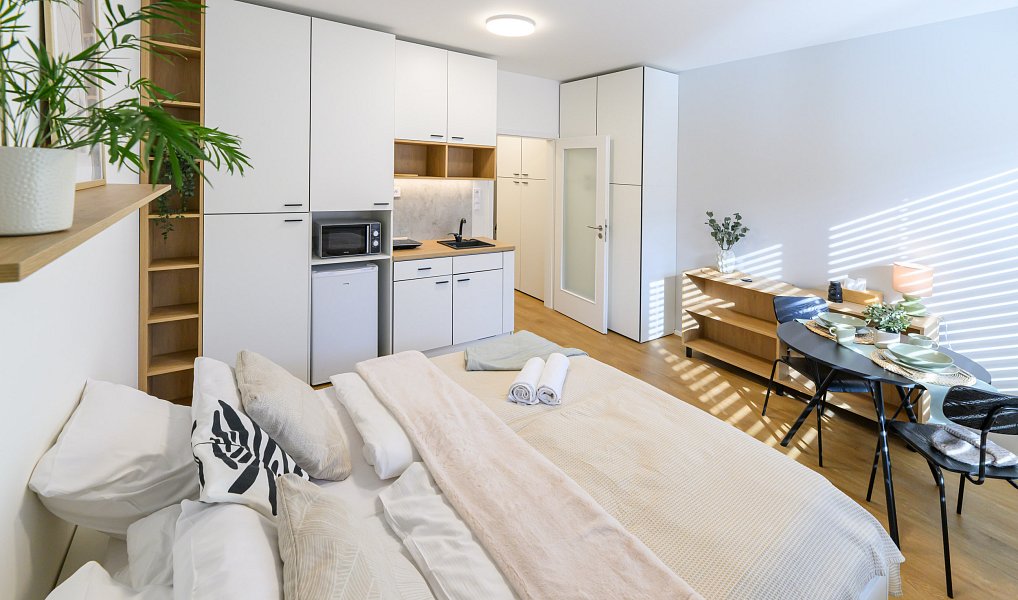 Pronájem bytu 1+kk 27 m², Brno – náhled fotky 3