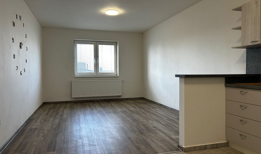 Pronájem bytu 1+kk 35 m², Pohořelice – náhled fotky 5