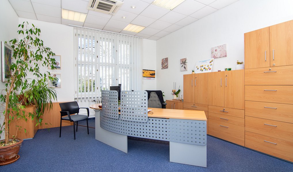 Pronájem obchodních prostor 365 m², Frýdek-Místek – náhled fotky 14