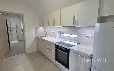 Pronájem bytu 1+1 51 m²
