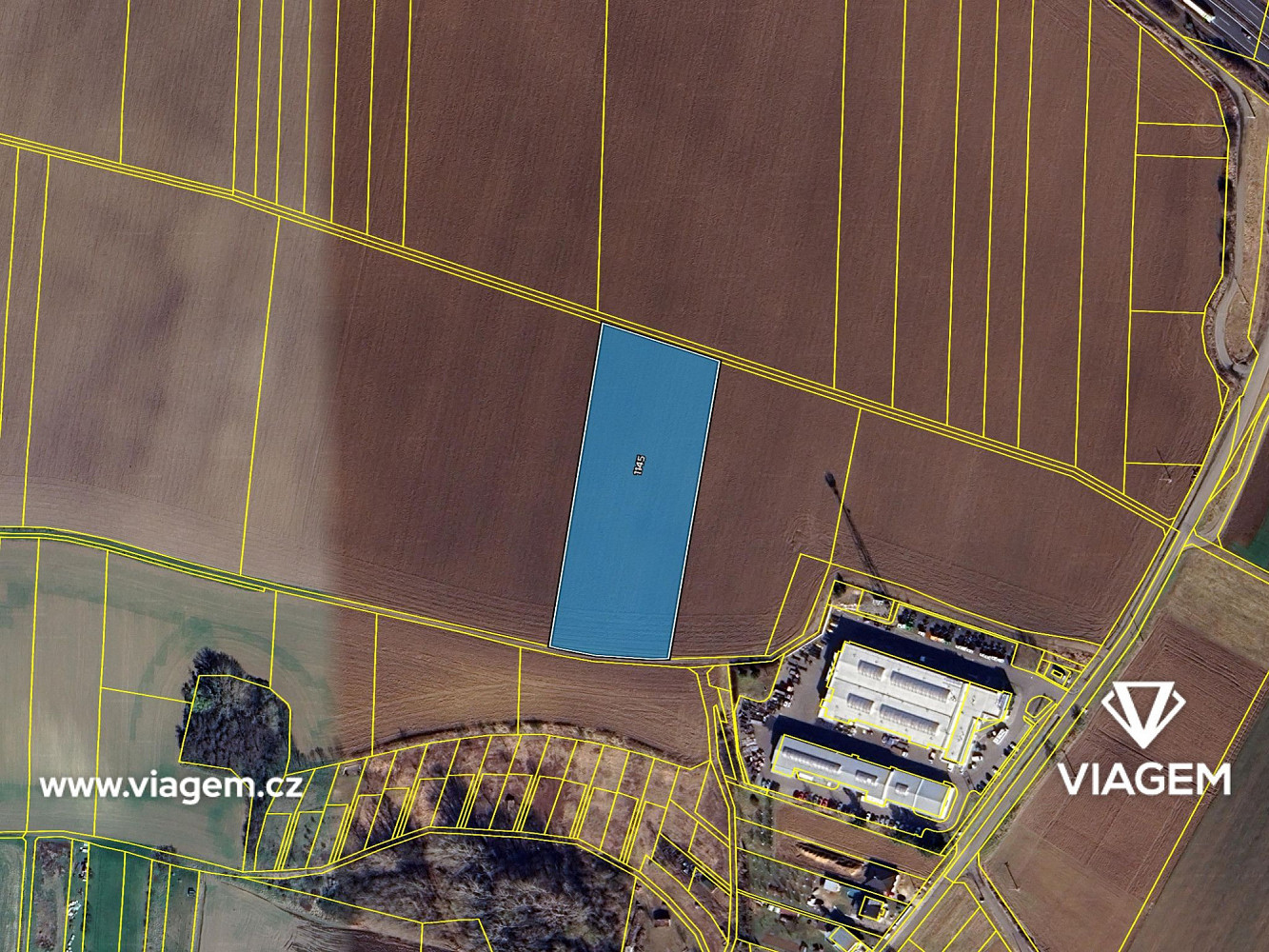 Prodej pole 2 526 m² – fotografie 4