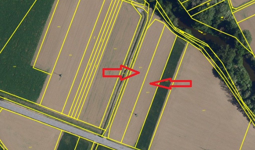 Prodej pole 5 612 m², Pohořelice – náhled fotky 4