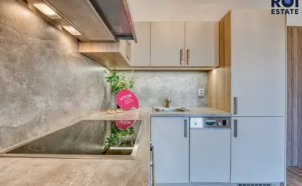 Pronájem bytu 1+kk 33 m²