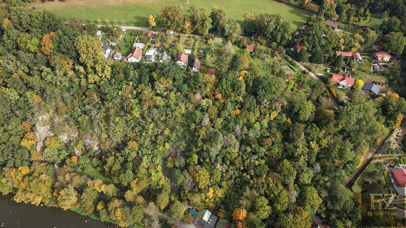 Prodej lesa 19 600 m² – fotografie 4