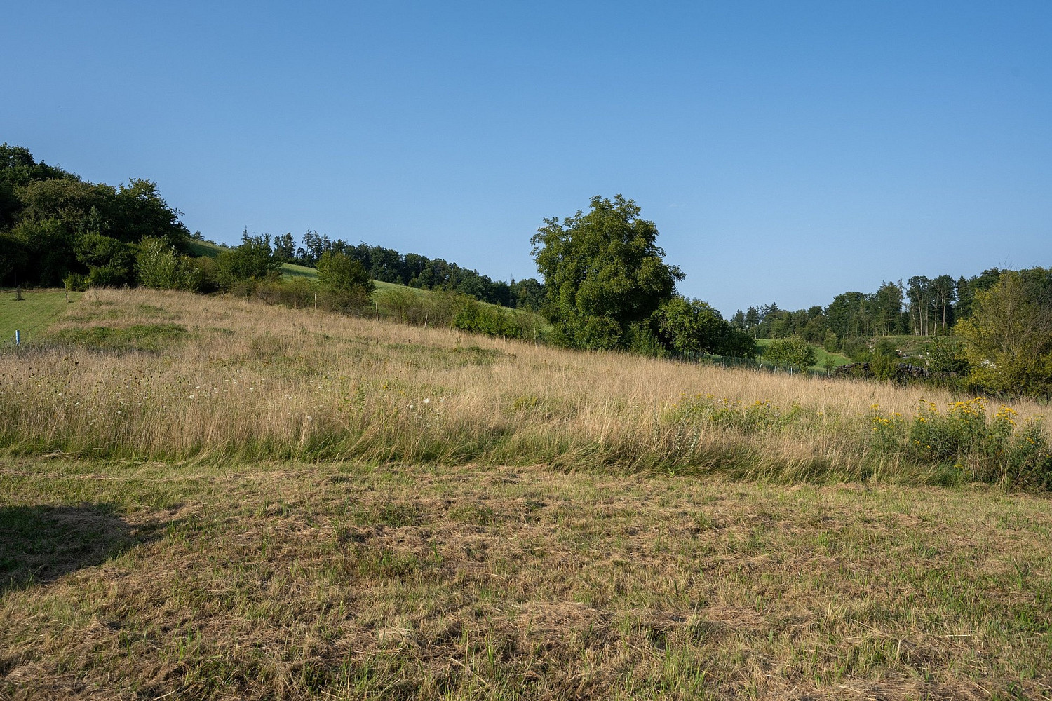 Prodej stavebního pozemku 1 063 m² – pohled 6