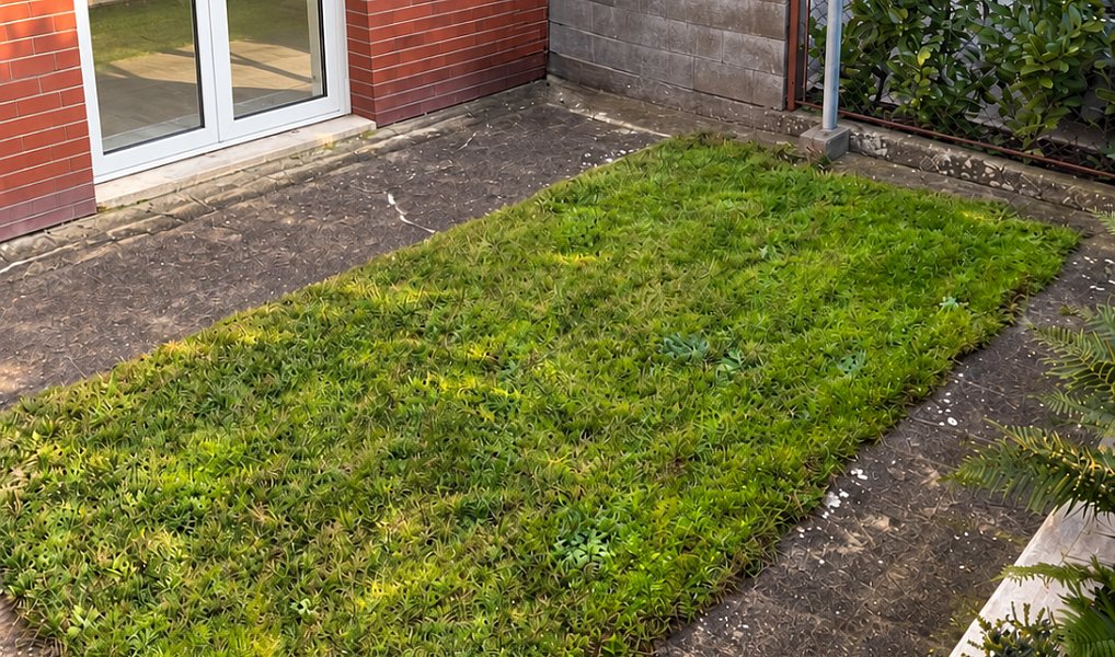 Pronájem bytu 1+1 32 m², Pardubice – náhled fotky 9