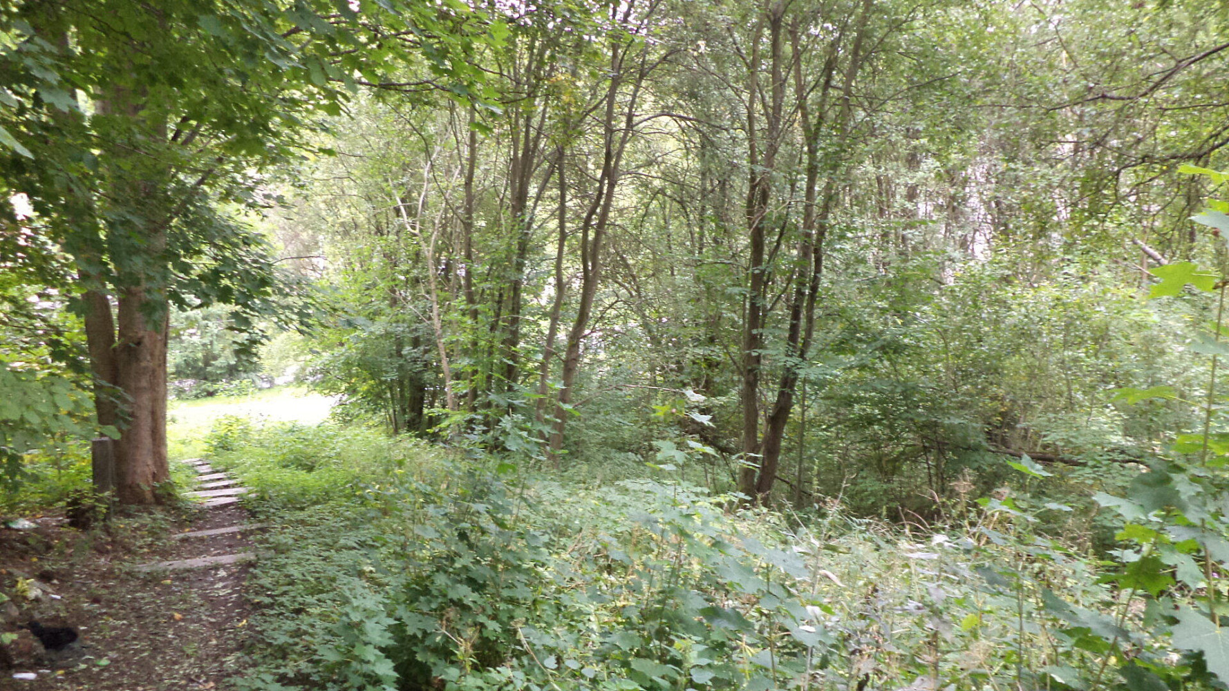 Prodej pozemku 1 755 m² — photo 3