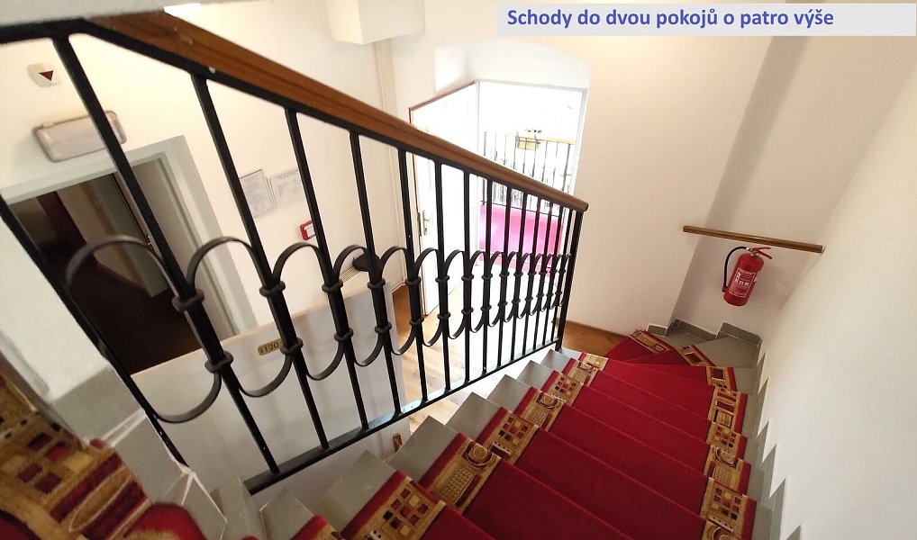 Pronájem bytu 4+kk 110 m², Plzeň – náhled fotky 10