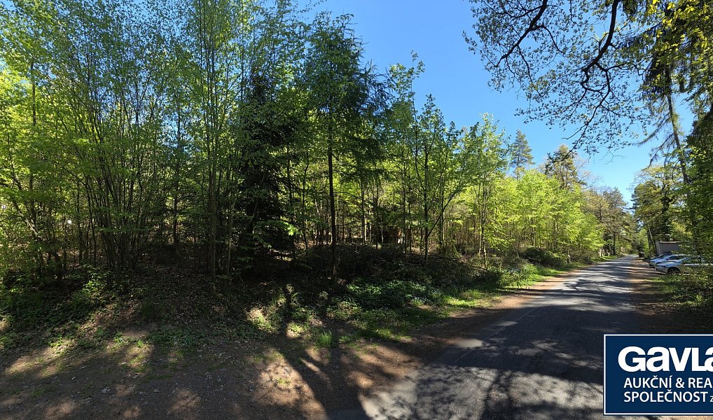 Prodej stavebního pozemku 3 541 m², Jevany – náhled fotky 8