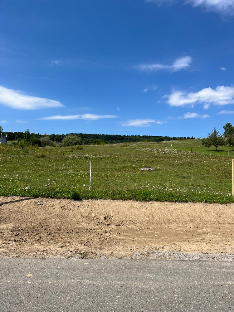 Prodej pole 5 837 m² – fotografie 3