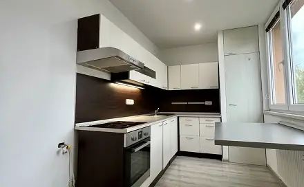 Pronájem bytu 3+1 68 m²