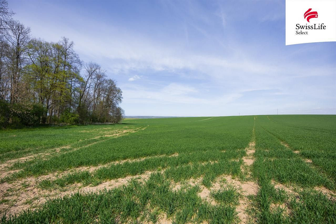 Prodej pole 18 365 m² – fotografie 3