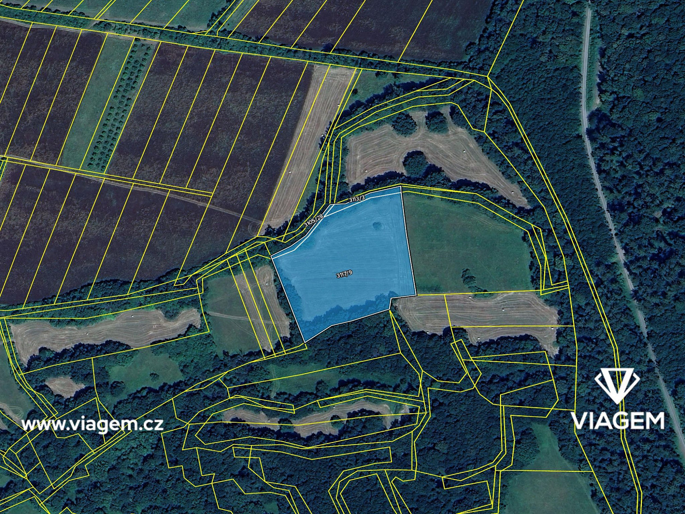 Prodej pole 2 084 m² – fotografie 4