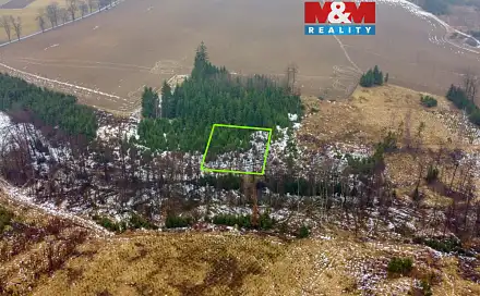 Prodej lesa 1 126 m², Česká Bělá, okres Havlíčkův Brod