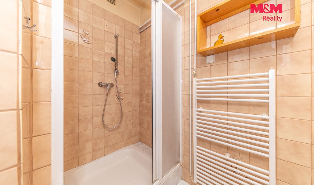 Prodej domu 120 m² s pozemkem 2 344 m², Lažany – náhled fotky 11