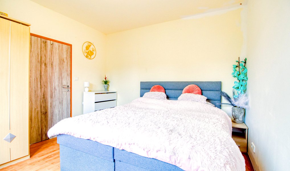 Prodej domu 252 m² s pozemkem 1 091 m², Nepřevázka – náhled fotky 18
