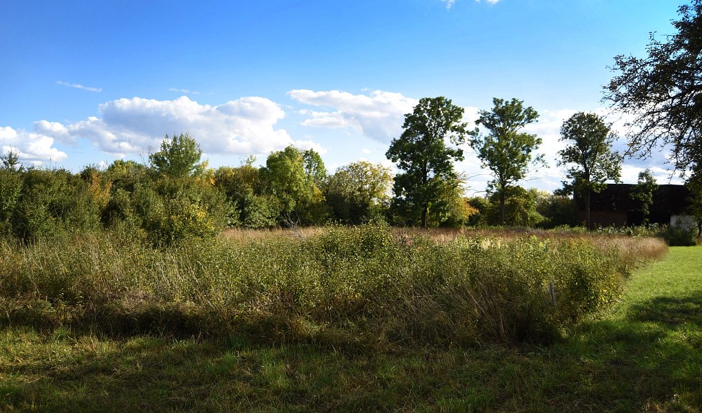 Prodej stavebního pozemku 1 356 m², Česká Skalice – náhled fotky 6