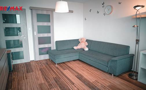 Prodej bytu 1+1 34 m², nábřeží Závodu míru, Pardubice - Zelené Předměstí