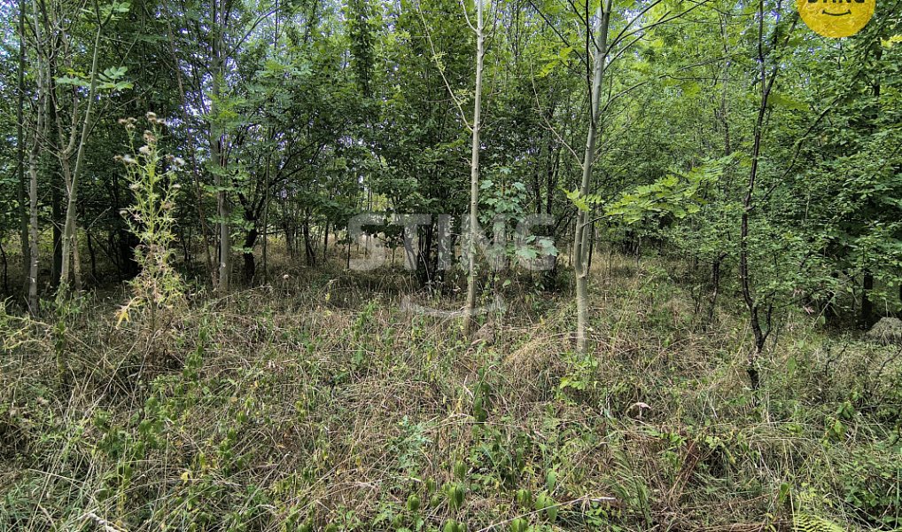 Prodej stavebního pozemku 2 800 m², Třinec – náhled fotky 10