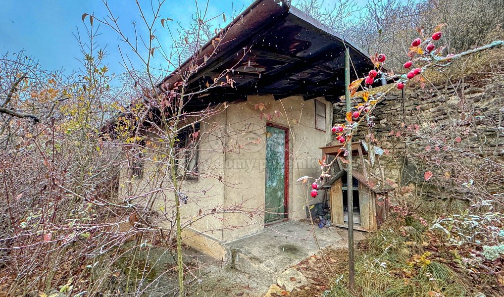 Prodej chaty/chalupy 16 m² s pozemkem 1 805 m², Štětí – náhled fotky 7