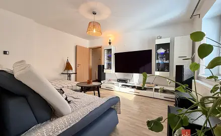 Prodej domu 200 m² s pozemkem 172 m², Resslova, Znojmo