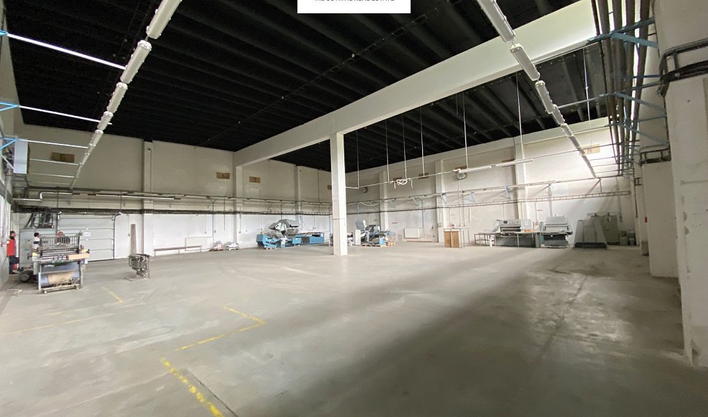 Prodej výrobních prostor 31 345 m², Sokolov – náhled fotky 5