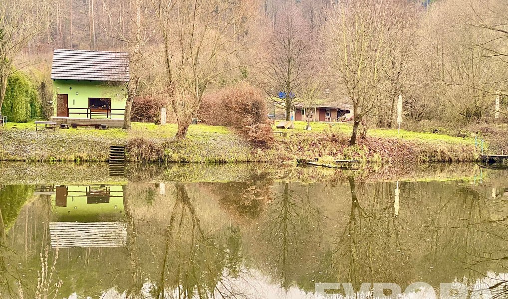 Prodej stavebního pozemku 9 000 m², Vlkančice – náhled fotky 9