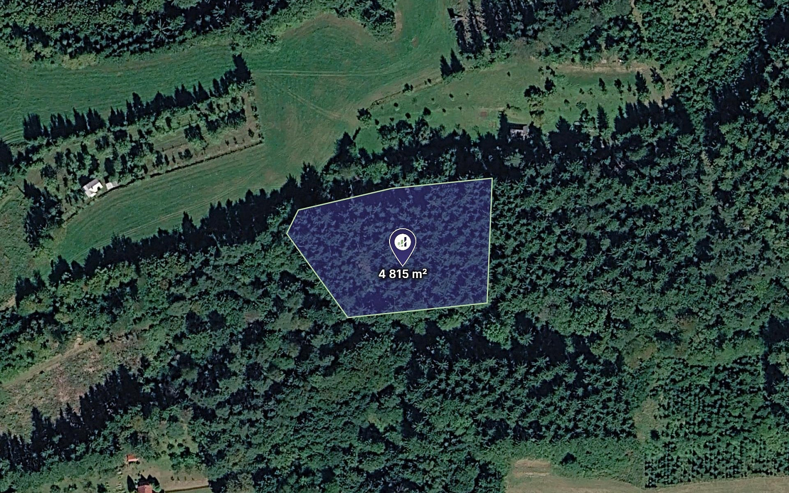 Prodej lesa 4 815 m²