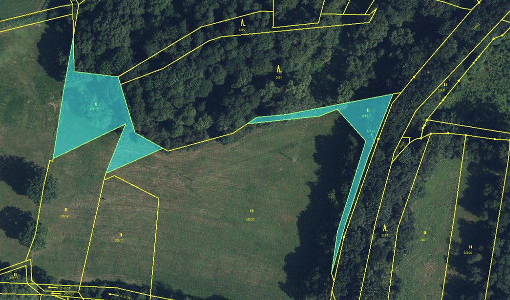 Prodej lesa 19 276 m², Rychnovek – náhled fotky 14
